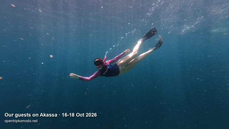Tamu trip Akassa snorkeling di laut biru Taman Nasional Komodo