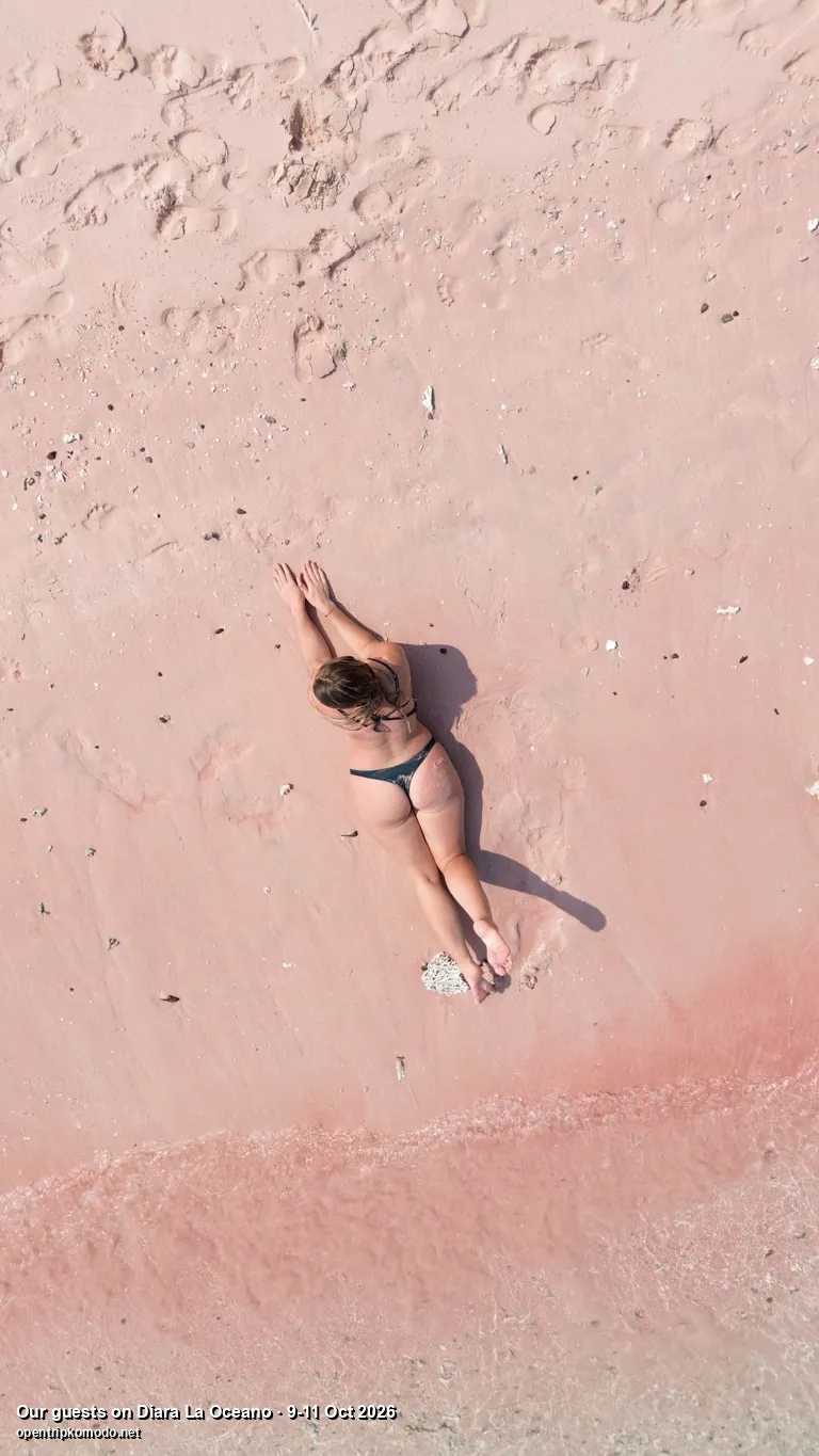 Tamu trip Diara La Oceano berbaring di pasir merah muda Pink Beach, dari udara