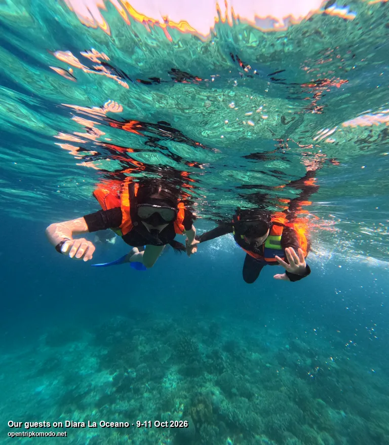 Rombongan tamu trip Diara La Oceano snorkeling dengan pelampung oranye, dari bawah air