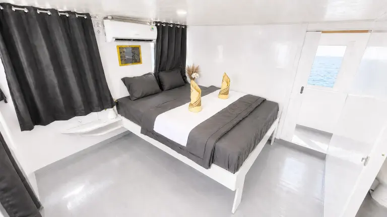 Deluxe Cabin Elyona dengan ranjang double dan tirai abu-abu