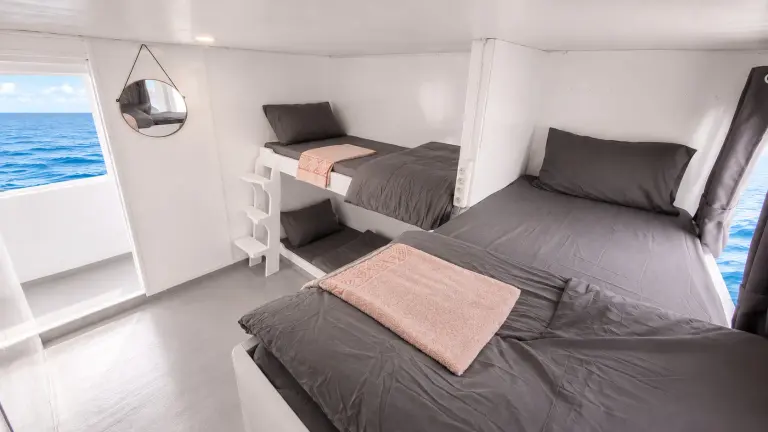 Ranjang susun Shared Cabin Elyona dengan TV dan jendela