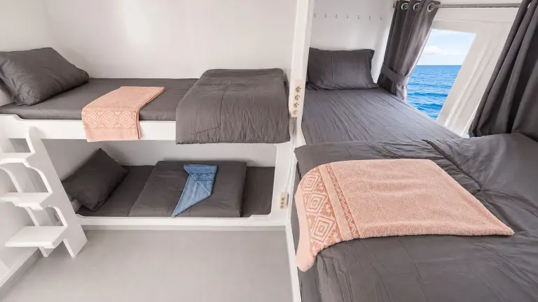 Shared Cabin Elyona dengan kasur single di ranjang susun dan jendela ke laut