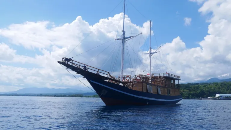 Bot Walenreng di perairan Komodo